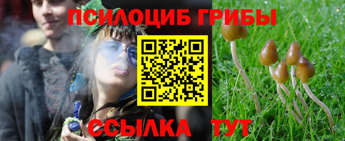 Галлюциногенные грибы MAGIC MUSHROOMS Кстово